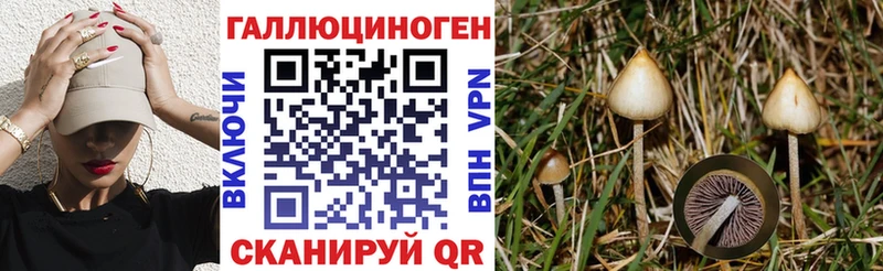 Галлюциногенные грибы мицелий  Яровое 